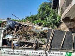 Best Dumpster Rental Services  in New Johnsonville, TN